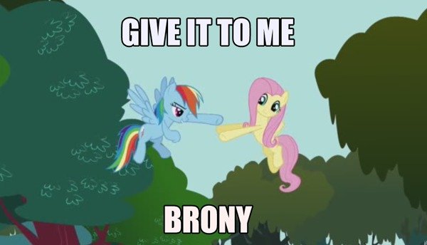 Ponies-Give it to me Brony.jpg