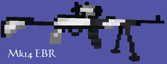 Mk14 EBR.JPG