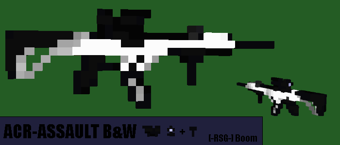 ACR B&W ACOG ForeGrip.png