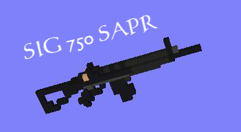 Sig_Banner.JPG