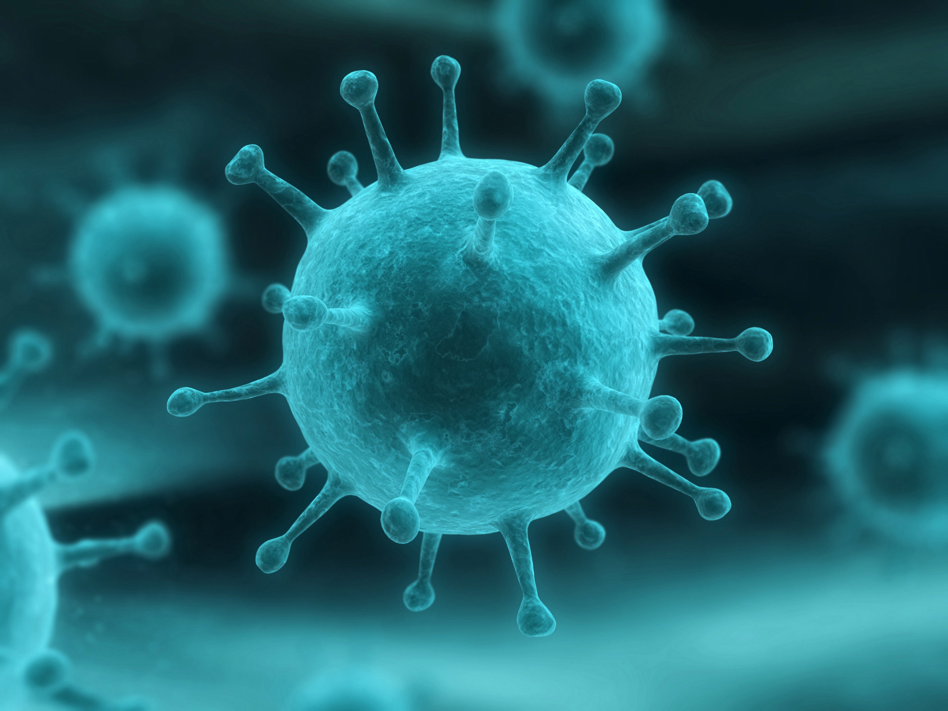 Influenza_virus_2008765[1].jpg